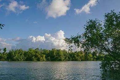 DeepSnitch AI's Launch: Is the 1600% Rally Claim Credible for Altcoin Investors?