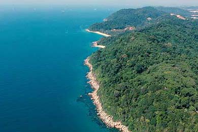 DeepSnitch AI's Launch: Is the 1600% Rally Claim Credible for Altcoin Investors?